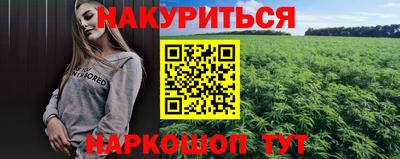 индика Шелехов