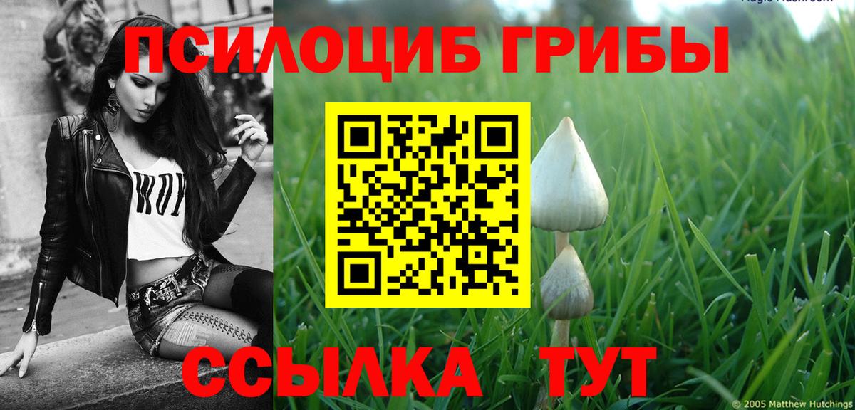 Галлюциногенные грибы Psilocybine cubensis  Вход с VPN  Псилоцибиновые грибы ЛСД  Волгодонск 
